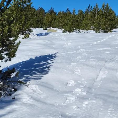 Le Temps Des Cerises Konukevi