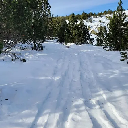 Konukevi Le Temps Des Cerises